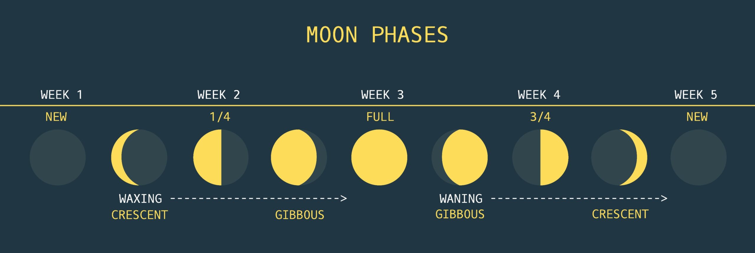 Mondphasen